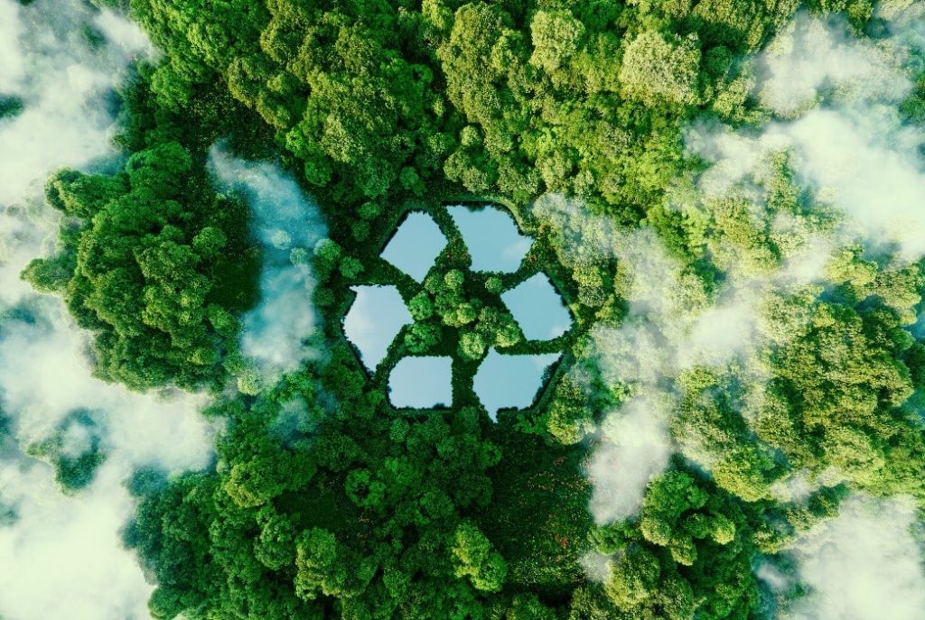 Pădurea pentru sustenabilitatea reciclării bateriilor mașinilor electrice